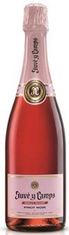 Juve y Camps - Brut Ros Cava (750ml) (750ml)