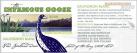 Mother Goose - Sauvignon Blanc The Infamous Goose Marlborough 2023 (750ml)